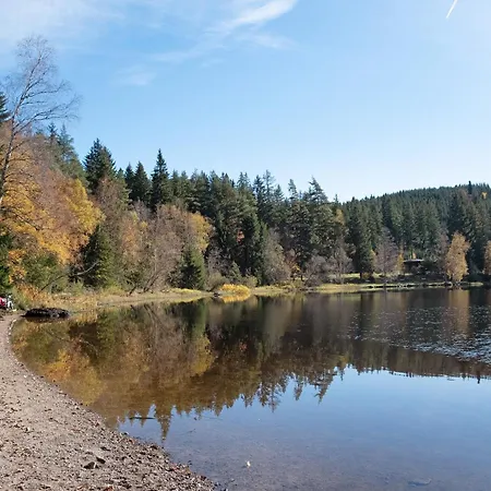 度假居 Schwarzwaldchalet Holzperle 伦茨基希